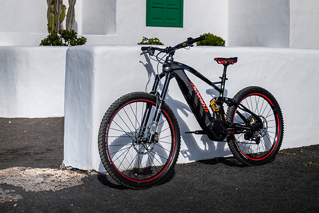 Audi Electric Mountain Bike