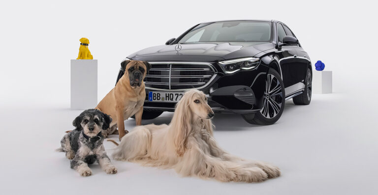 Mercedes-Benz MBUX Bark Assist